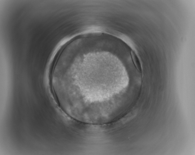 X0000110881104200907091416