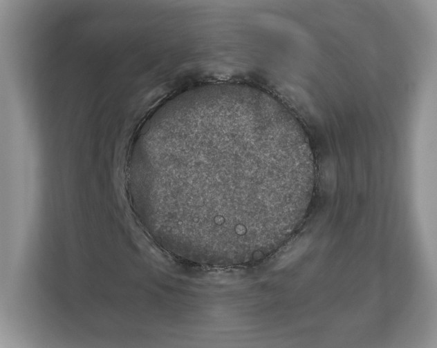 X0000110881105200907091416