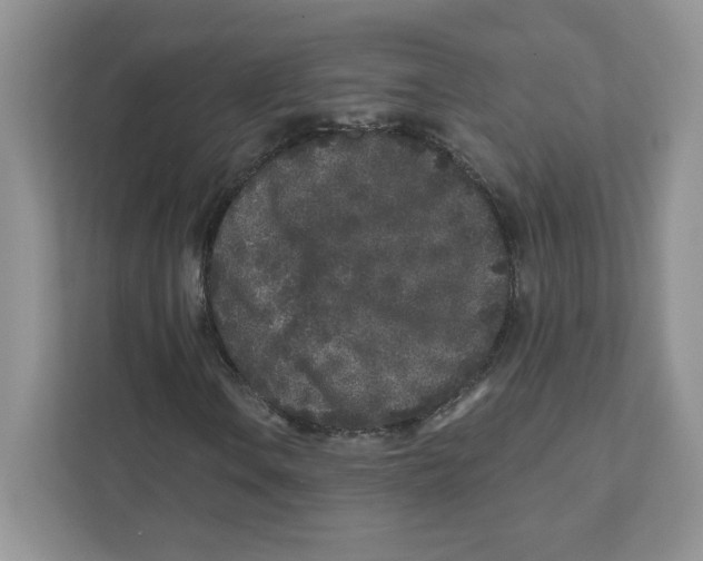 X0000110881106200907091416