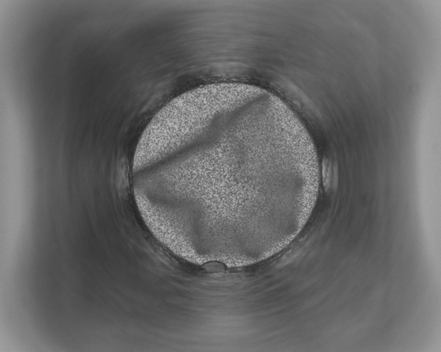 X0000110881107200907091416