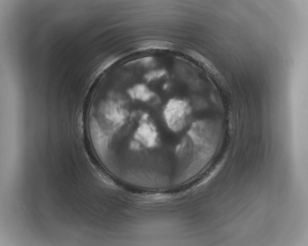 X0000110881113200907091416