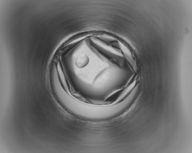 X0000110881118200907091416