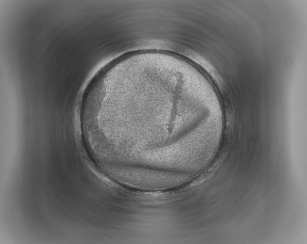 X0000110881120200907091416