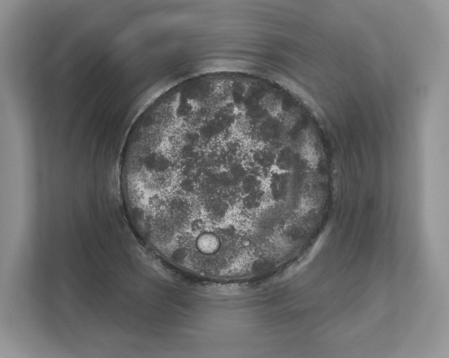 X0000110881121200907091416