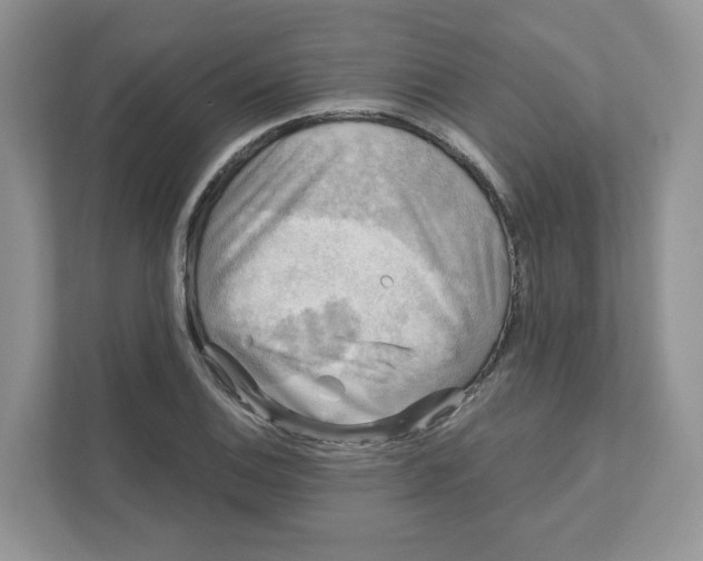 X0000110881124200907091416