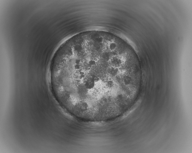 X0000110881125200907091416