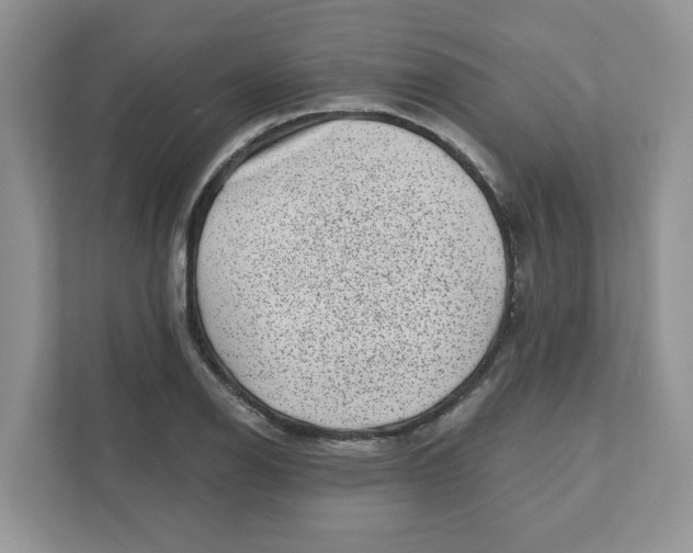 X0000110881126200907091416