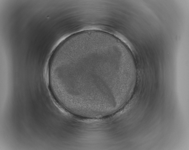 X0000110881127200907091416