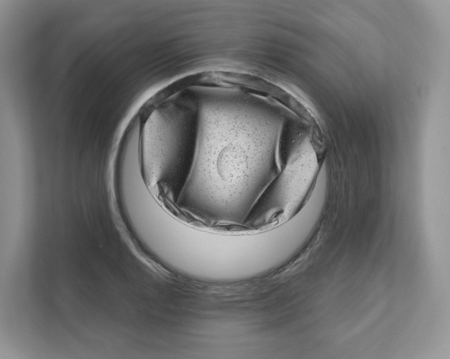 X0000110881128200907091416