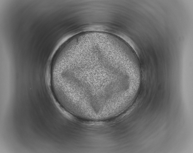 X0000110881131200907091416