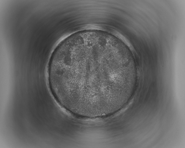 X0000110881133200907091416