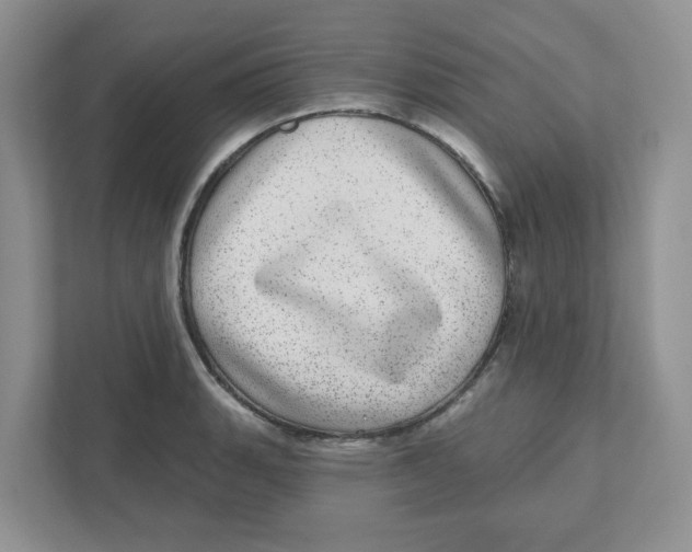 X0000110881135200907091416