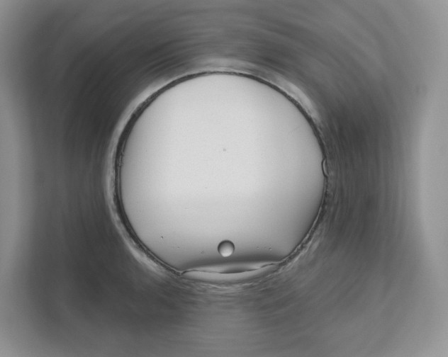 X0000110881136200907091416