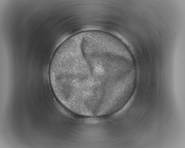 X0000110881137200907091416