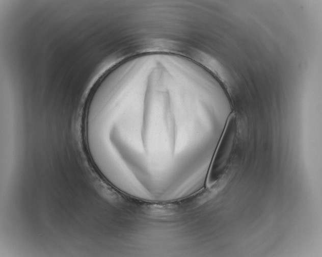 X0000110881138200907091416