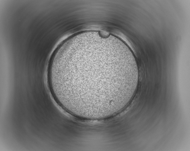 X0000110881139200907091416