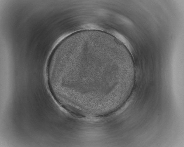 X0000110881141200907091416