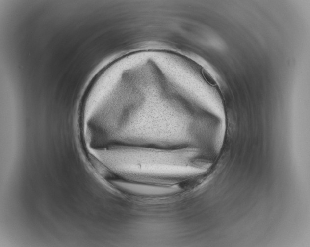 X0000110881142200907091416