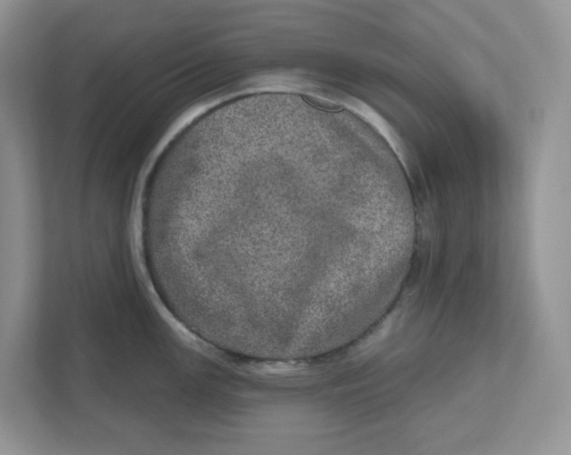 X0000110881147200907091416