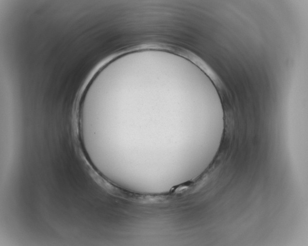 X0000110881148200907091416