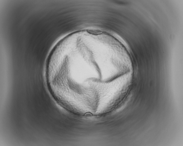 X0000110881149200907091416