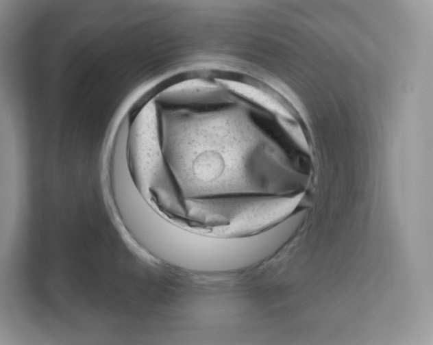 X0000110881152200907091416