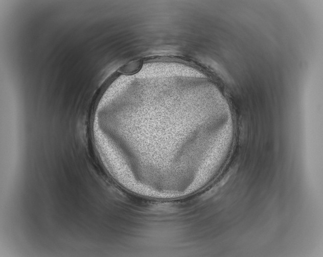 X0000110881162200907091415