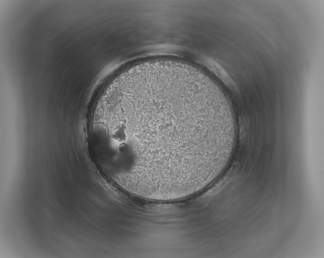 X0000110881164200907091415