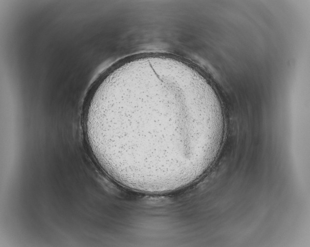 X0000110881168200907091415