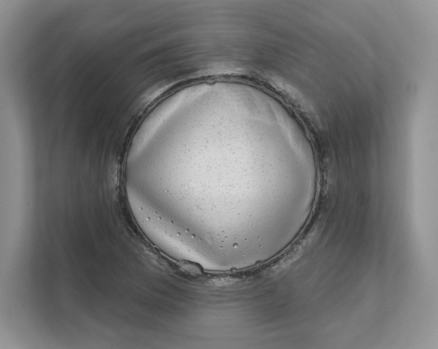 X0000110881169200907091415