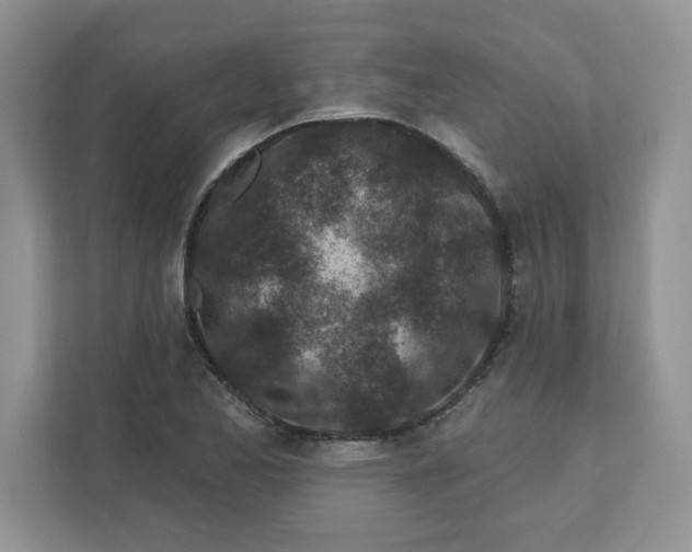 X0000110881173200907091415