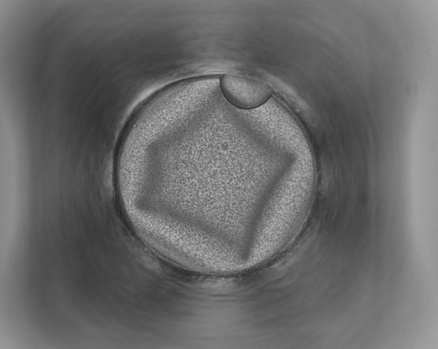 X0000110881174200907091415