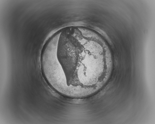 X0000110881176200907091415