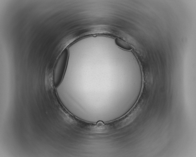 X0000110881177200907091415