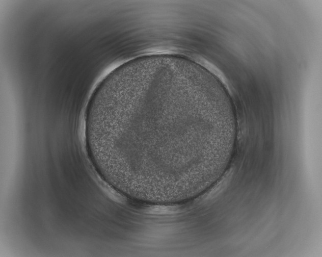 X0000110881179200907091415