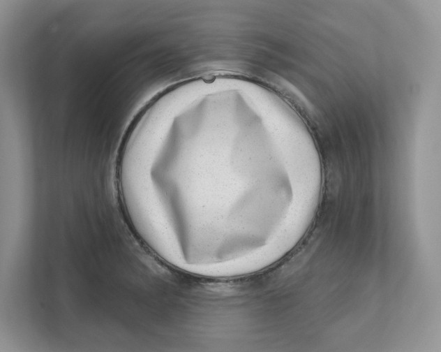 X0000110881182200907091415