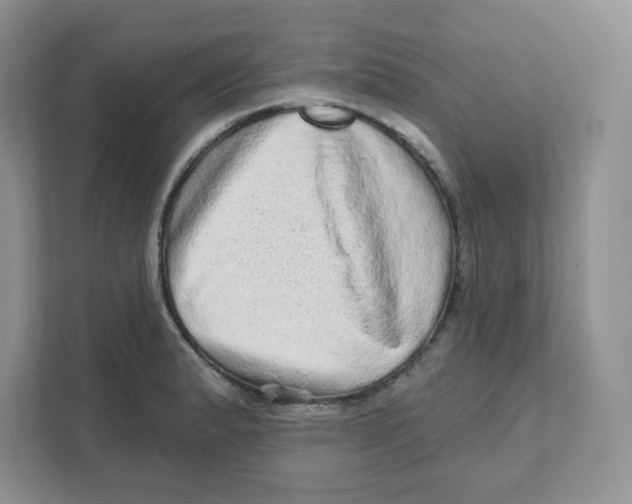 X0000110881183200907091415