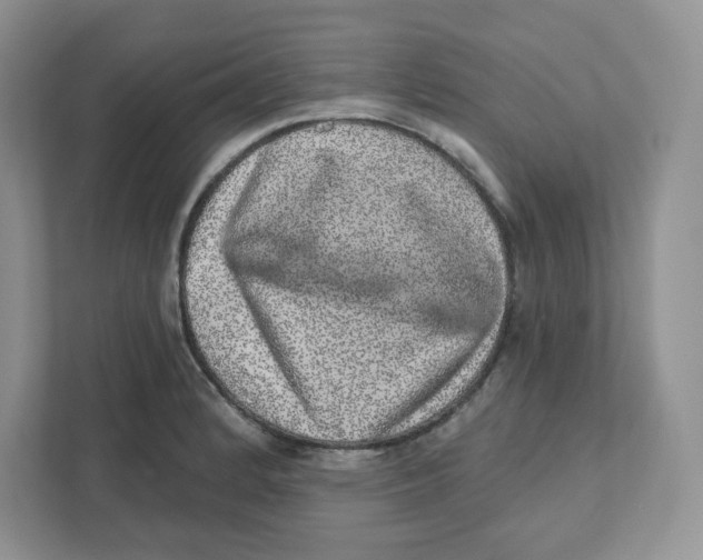 X0000110881184200907091415