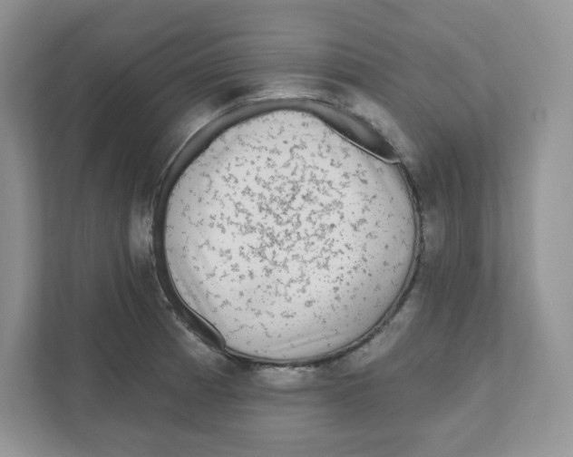 X0000110881185200907091415