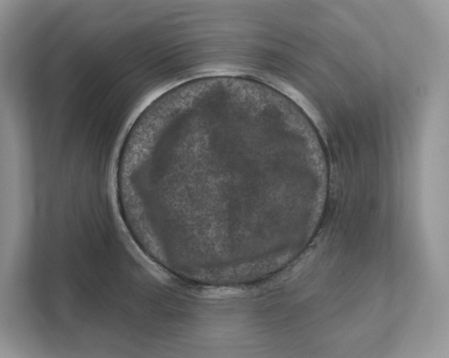 X0000110881187200907091415