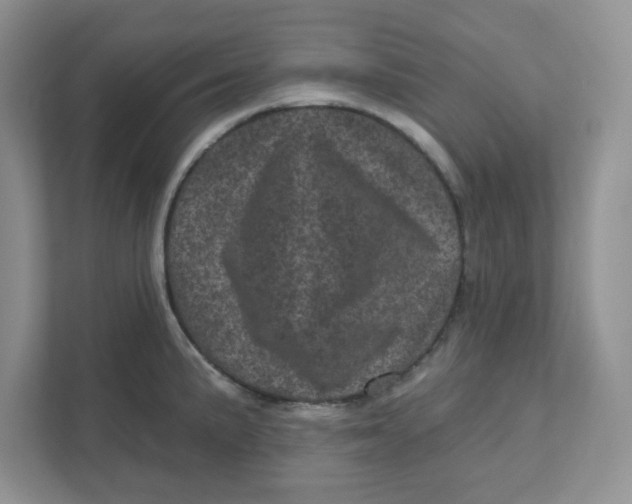 X0000110881191200907091415