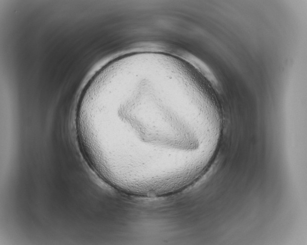 X0000110881192200907091415