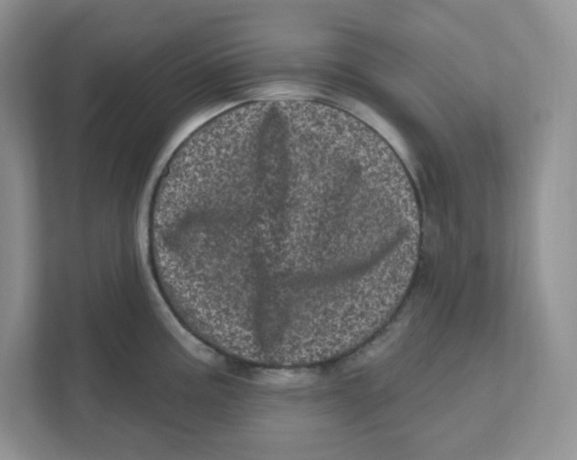 X0000110881195200907091415