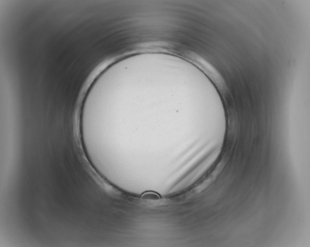 X0000110881196200907091415