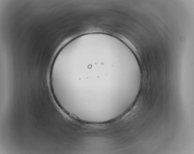 X0000110881197200907091415