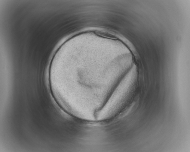 X0000110881199200907091415