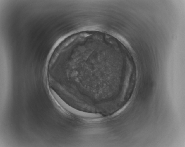 X0000110881200200907091415