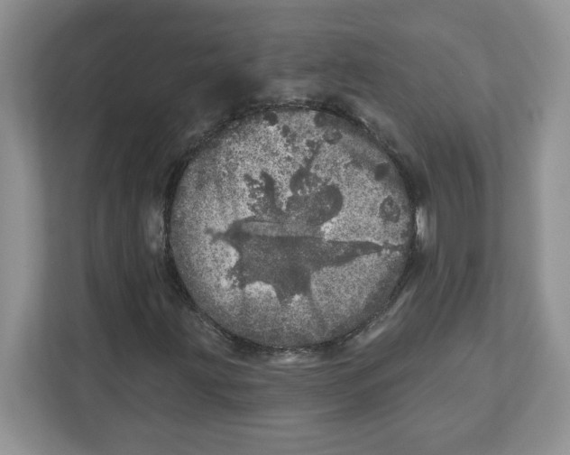 X0000110881203200907091414