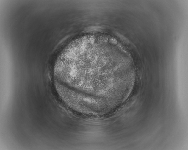 X0000110881206200907091414