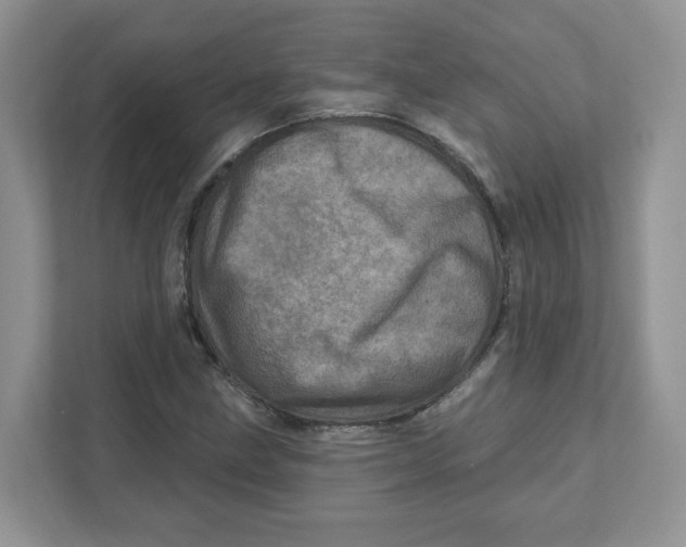 X0000110881211200907091414